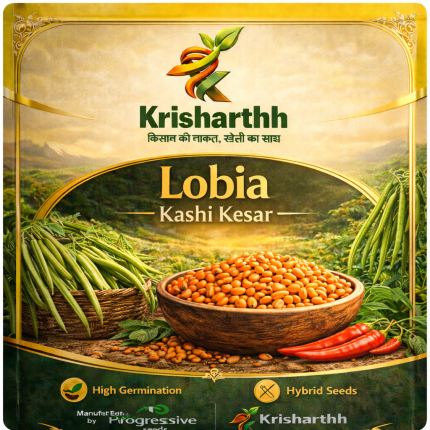 Lobia kashi kesar (250gm)